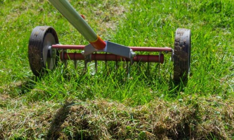 When is the Best Time to Scarify Your Lawn?